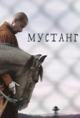 Мустанг (2017)